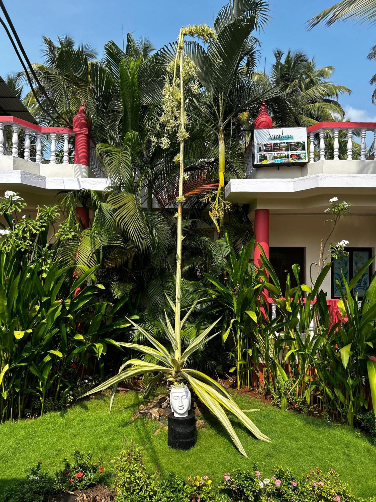 Vintage Beach Resort 아곤다 외부 사진
